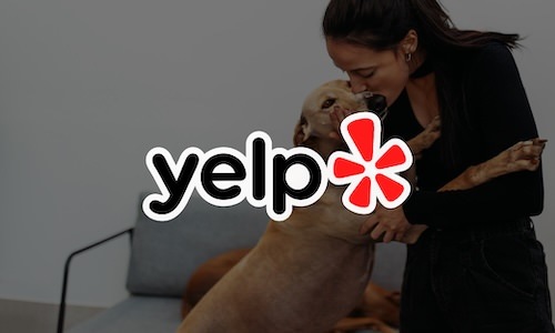 Yelp Reviews Yelp Reviews